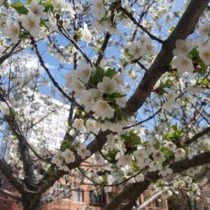 Meet your Posher, Le